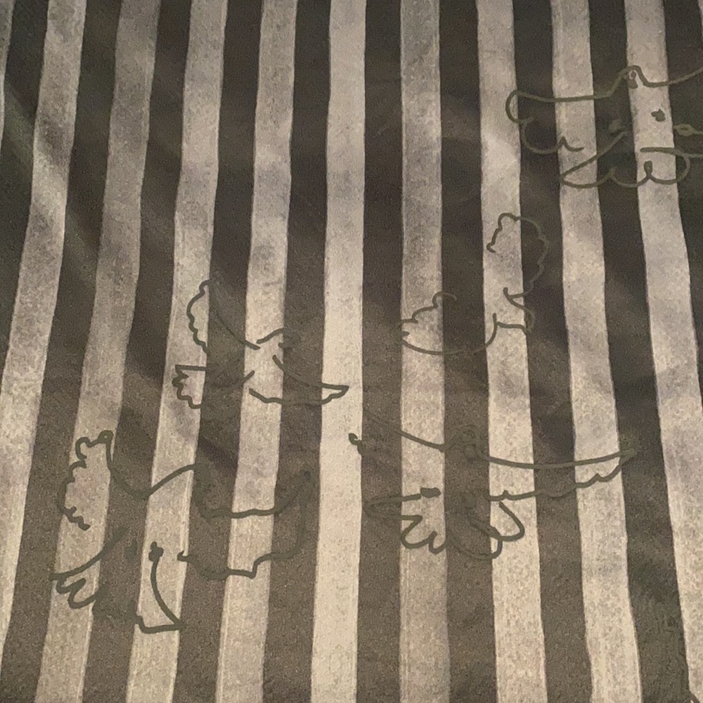 Kid super Puma - Picture 5 of 7